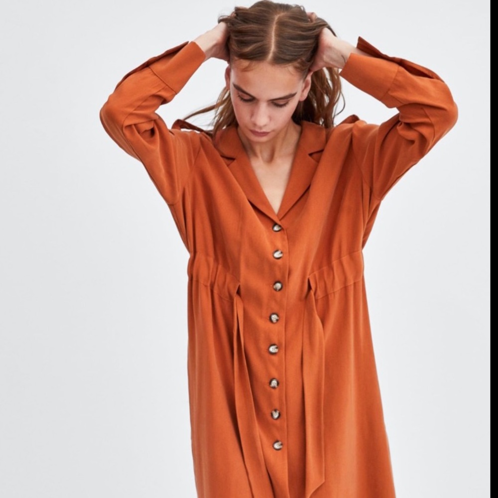 Zara Dress